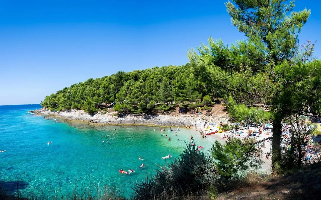 Cosy Holiday Home Infinity With Pool And Bbq Loborika Villa